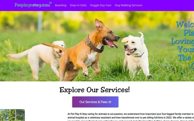 Homepage of Petplaynstay – cat sitter in Naugatuck, CT