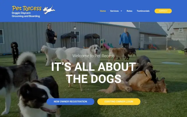 Homepage of Pet Recess – cat sitter in Lakeville, MA