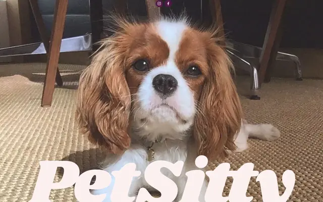 Homepage of PetSitty – cat sitter in Brooklyn, NY