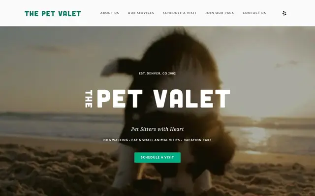 Homepage of The Pet Valet – cat sitter in Denver, CO