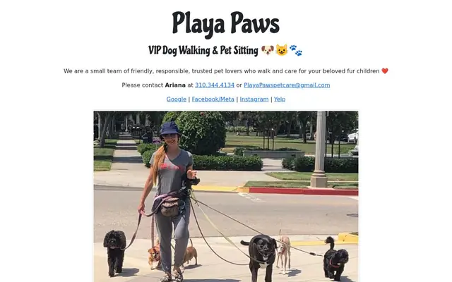 Homepage of Playa Paws – cat sitter in Culver City, CA