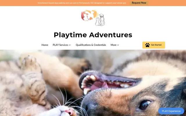 Homepage of Playtime Adventures- Enrichment Based Pet Care – cat sitter in New Hampshire