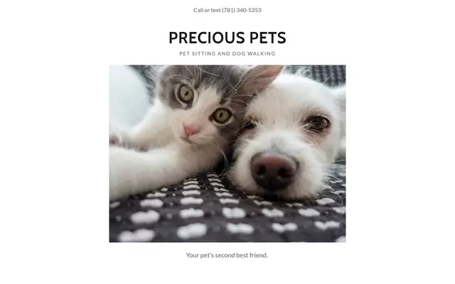 Homepage of Precious Pets – cat sitter in Cohasset, MA