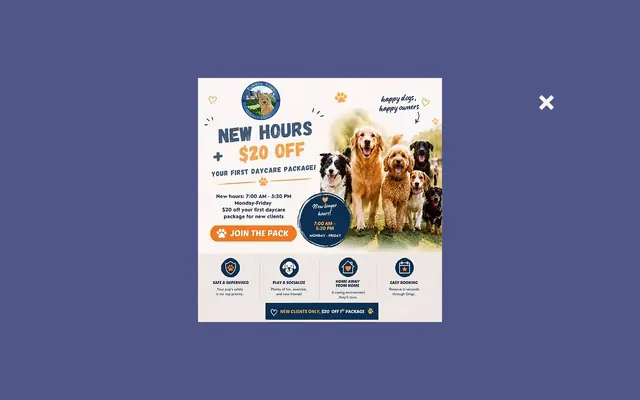 Homepage of Pumkin Paws Pet Service – cat sitter in Bronx, NY