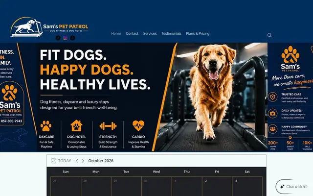 Homepage of Sam’s Pet Patrol LLC – cat sitter in Brighton, MA