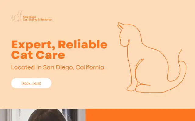 Homepage of San Diego Cat Sitting & Behavior – cat sitter in Chula Vista, CA