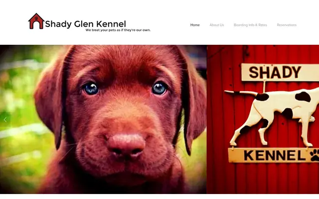 Homepage of Shady Glen Boarding Kennel – cat sitter in Belchertown, MA