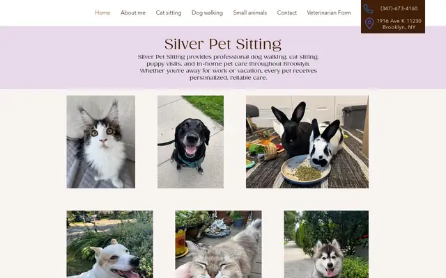 Homepage of Silver Pet Sitting – cat sitter in Brooklyn, NY