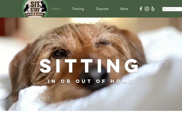 Homepage of Sit Stay Train & Play LLC – cat sitter in Middlebury, CT