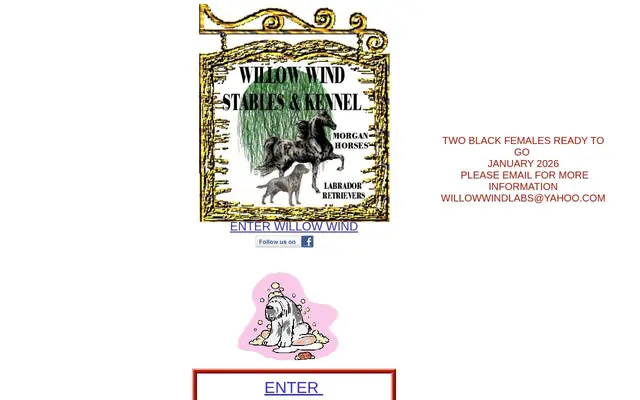 Homepage of Kim's Pet Resort LLC Granby Ma – cat sitter in Granby, MA