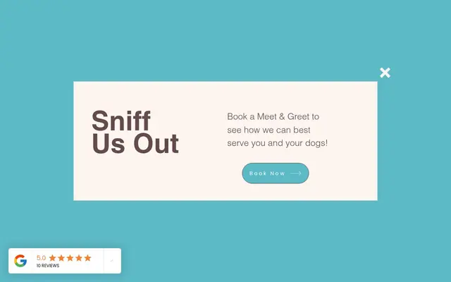 Homepage of So Fetch Pet Co. – cat sitter in Riviera Beach, MD