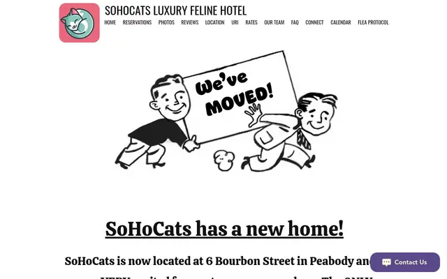Homepage of SoHoCats Luxury Feline Hotel – cat sitter in Peabody, MA