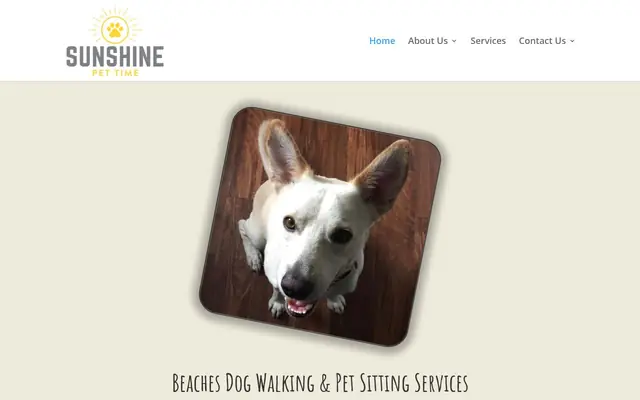 Homepage of Sunshine Pet Time – cat sitter in Jacksonville Beach, FL
