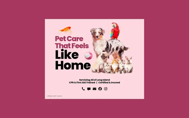 Homepage of Tails Of The Town – cat sitter in Lake Ronkonkoma, NY