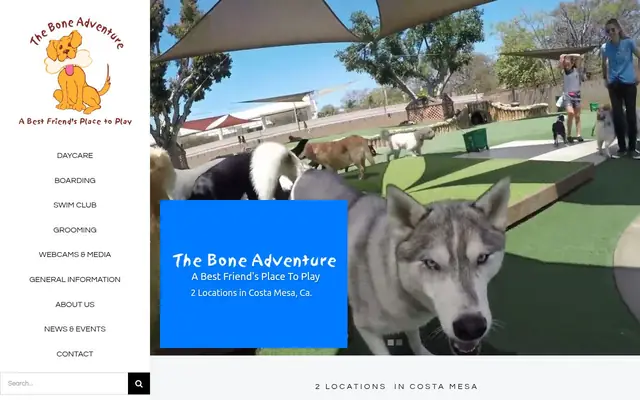 Homepage of The Bone Adventure – cat sitter in Costa Mesa, CA
