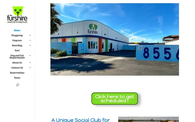 Homepage of The Furshire Social Club for Dogs & Cats – cat sitter in Peoria, AZ