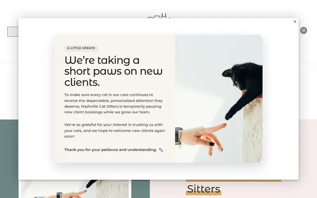 Homepage of The Nashville Cat Sitters – cat sitter in Tennessee