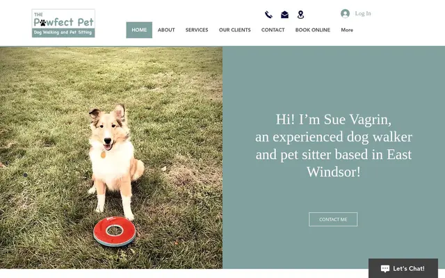 Homepage of Pawfect Pet Sitting and Dog Walking – cat sitter in East Windsor, NJ