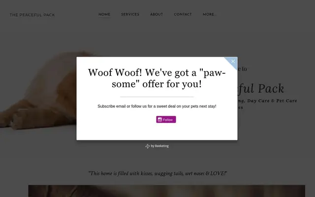 Homepage of The Peaceful Pack – cat sitter in Johnston, RI