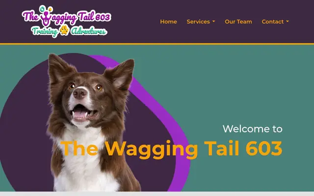 Homepage of The Wagging Tail 603 – cat sitter in Stratham, NH