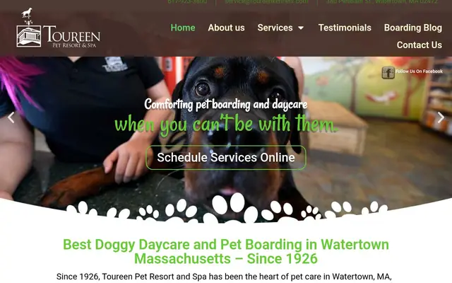 Homepage of Toureen Pet Resort and Spa – cat sitter in Watertown, MA