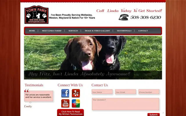 Homepage of Town Paws Pet Friendly Services – cat sitter in Natick, MA