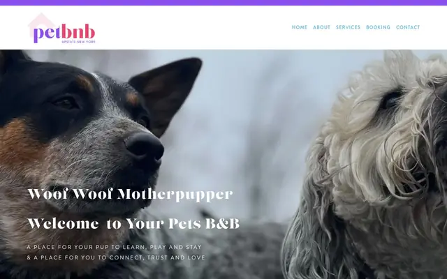 Homepage of Upstate Pet BnB- Your Pet's B&B – cat sitter in Watervliet, NY