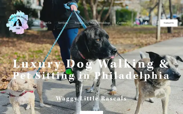 Homepage of Waggy Little Rascals – cat sitter in Philadelphia, PA