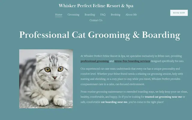 Homepage of Whisker Perfect Feline Resort & Spa – cat sitter in Guthrie, OK
