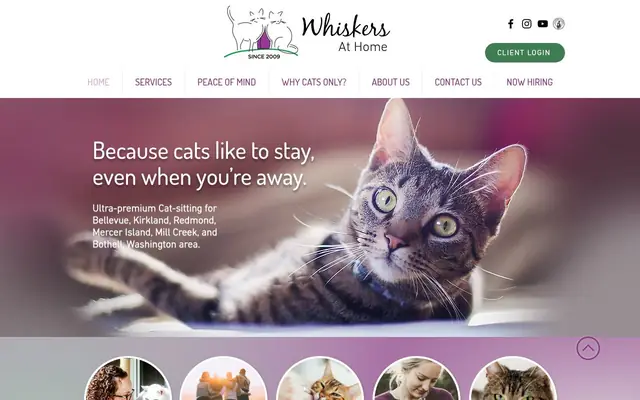 Homepage of Whiskers At Home L.L.C. – cat sitter in Bellevue, WA
