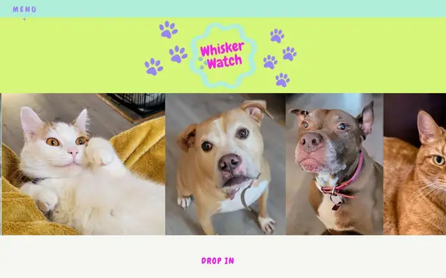 Homepage of Whisker Watch CT – cat sitter in East Haven, CT