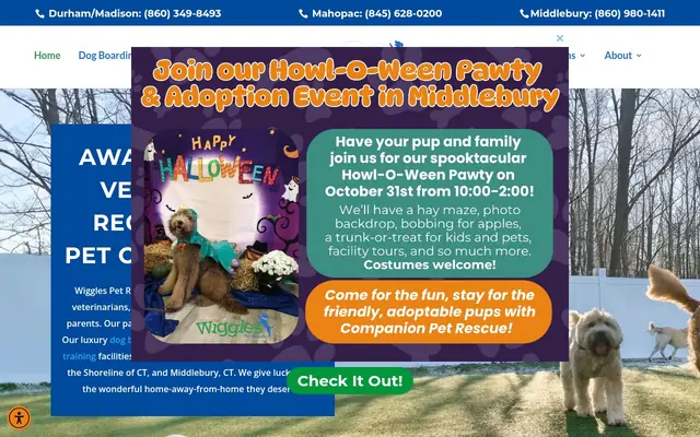 Homepage of Wiggles Pet Resort on Madison Rd – cat sitter in Durham, CT