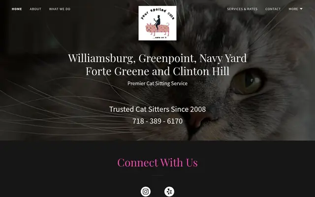 Homepage of Your Spoiled Cats – cat sitter in Brooklyn, NY
