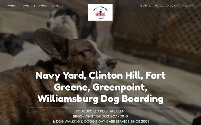 Homepage of Your Spoiled Pets – cat sitter in Brooklyn, NY