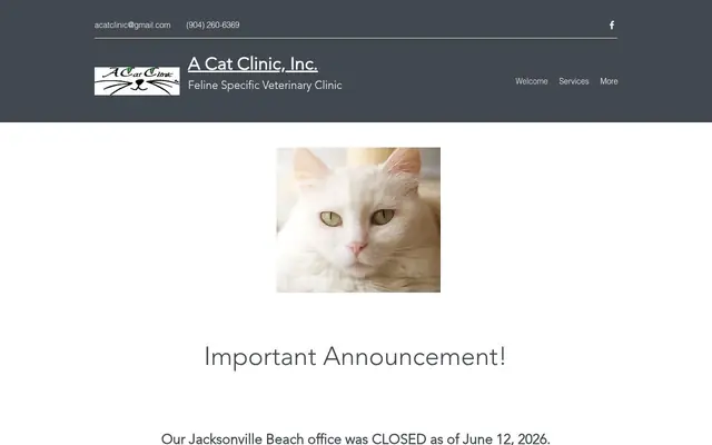Homepage of A Cat Clinic – cat vet in Jacksonville, FL