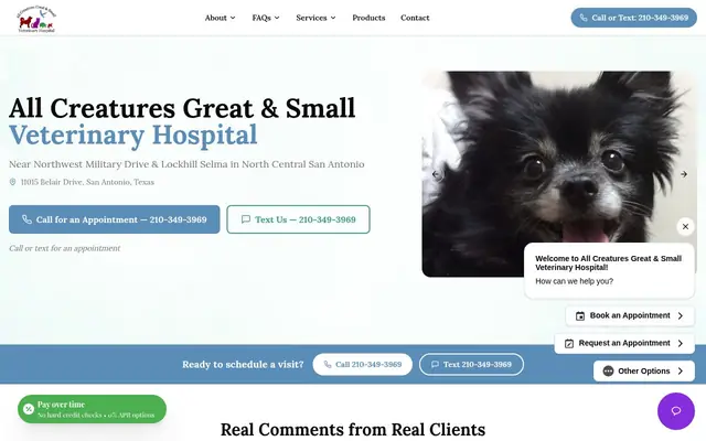 Homepage of All Creatures Great & Small Veterinary Hospital – cat vet in San Antonio, TX