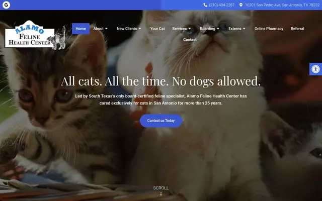 Homepage of Alamo Feline Health Center – cat vet in Hollywood Park, TX