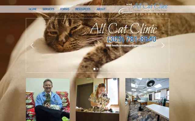 Homepage of All Cat Clinic – cat vet in Englewood, CO