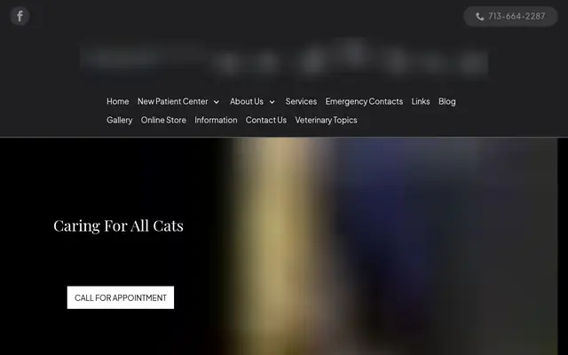 Homepage of All Cats Veterinary Clinic – cat vet in Houston, TX