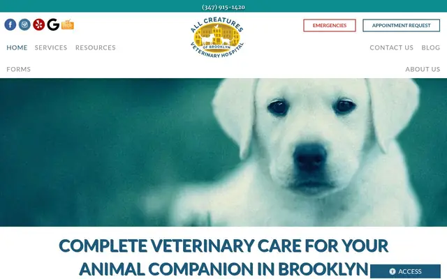 Homepage of All Creatures Veterinary Hospital of Brooklyn – cat vet in Brooklyn, NY