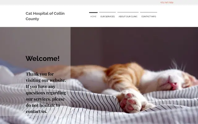 Homepage of Cat Hospital of Collin County – cat vet in Allen, TX