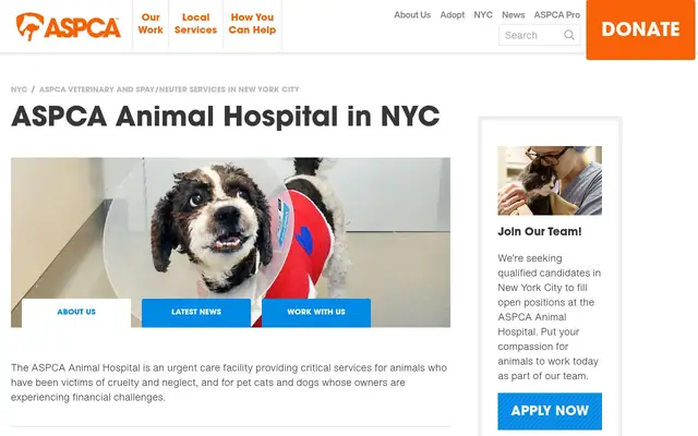 Homepage of ASPCA Animal Hospital - By Appointment Only – cat vet in New York, NY
