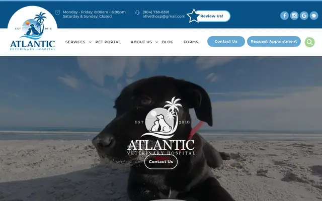 Homepage of Atlantic Veterinary Hospital – cat vet in Jacksonville, FL