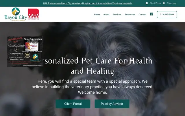 Homepage of Bayou City Veterinary Hospital – cat vet in Houston, TX