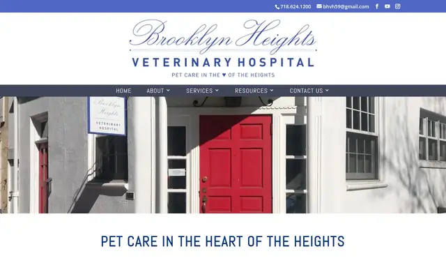 Homepage of Brooklyn Heights Veterinary Hospital – cat vet in Brooklyn, NY