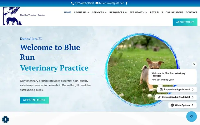 Homepage of Blue Run Veterinary Practice – cat vet in Dunnellon, FL
