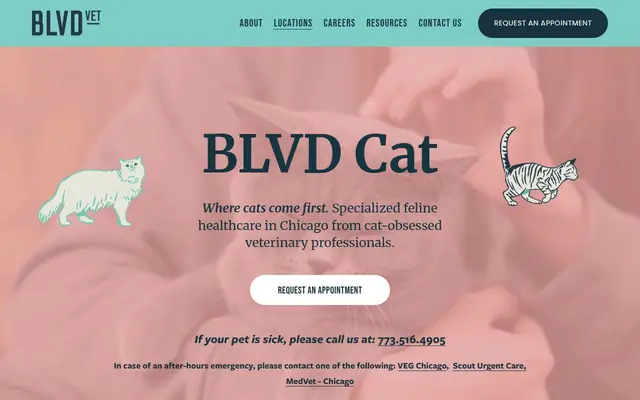 Homepage of BLVD Cat – cat vet in Chicago, IL