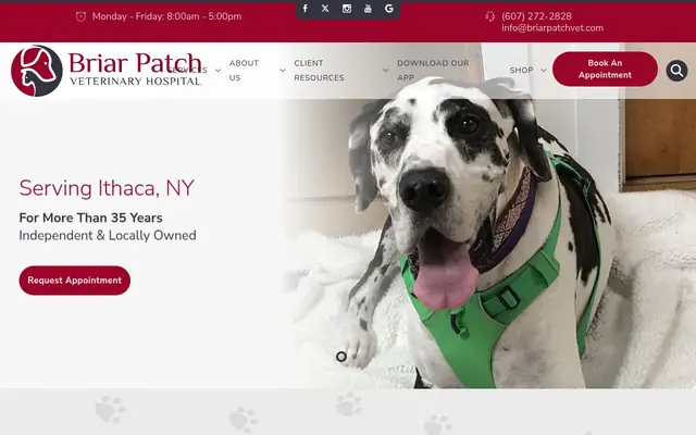 Homepage of Briar Patch Veterinary Hospital – cat vet in Ithaca, NY