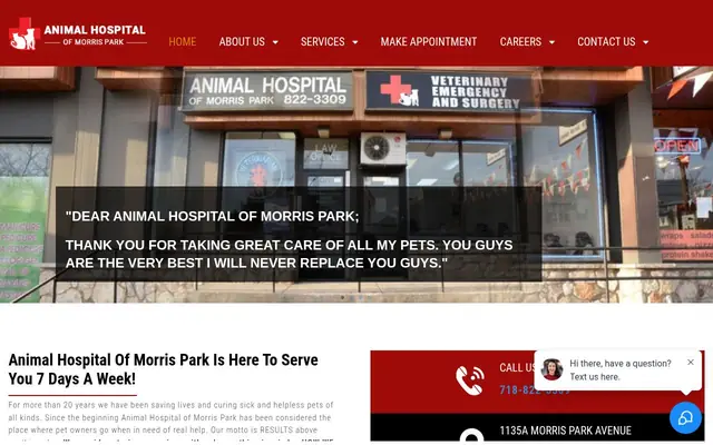 Homepage of Animal Hospital of Morris Park – cat vet in Bronx, NY