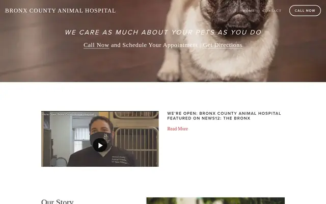 Homepage of Bronx County Animal Hospital – cat vet in Bronx, NY